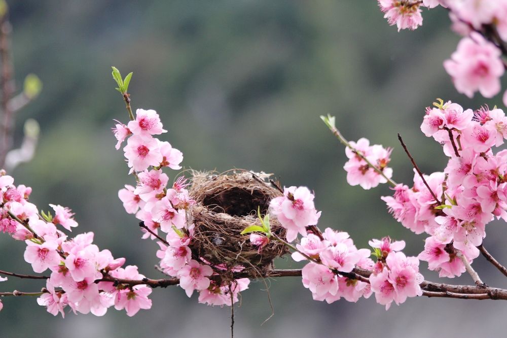 Photograph by Nadzeya