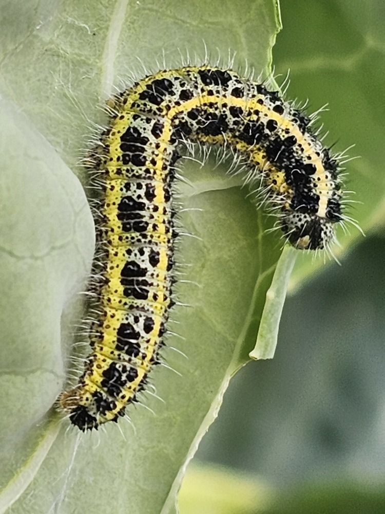 Photograph by Наталья Каплина