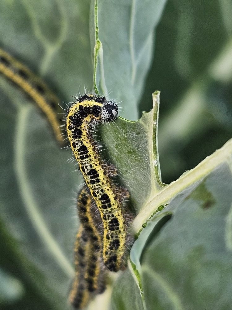 Photograph by Наталья Каплина