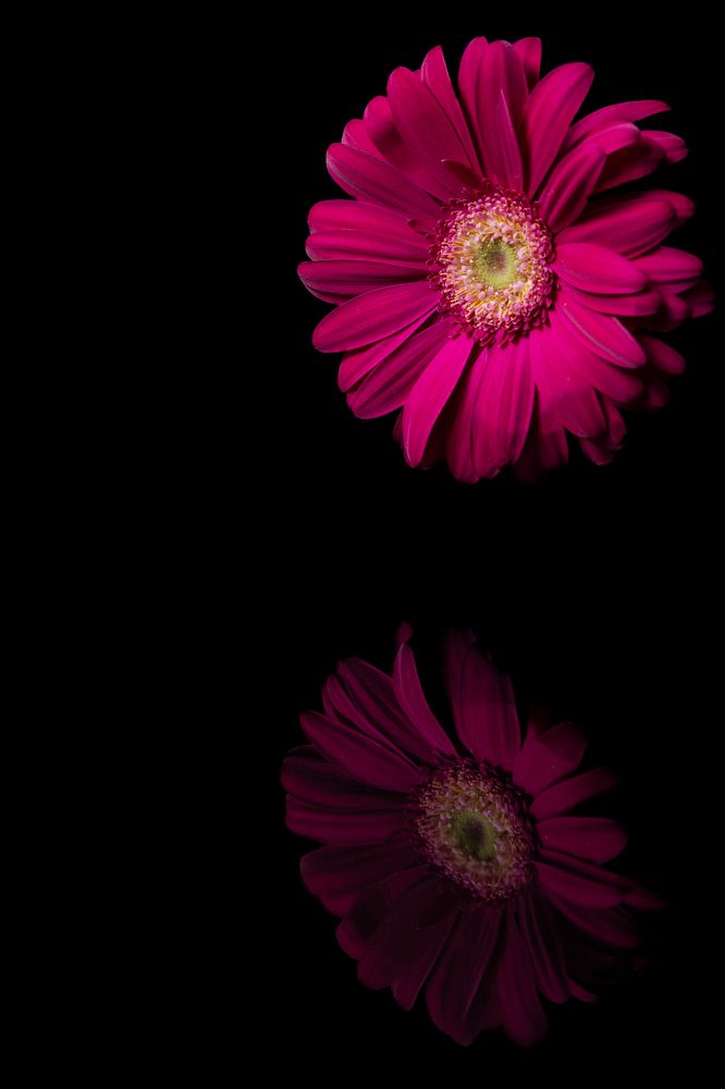 Photograph by Наталья Кириченко