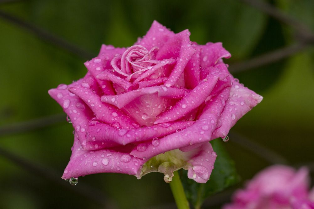 Photograph by Артур Павловский