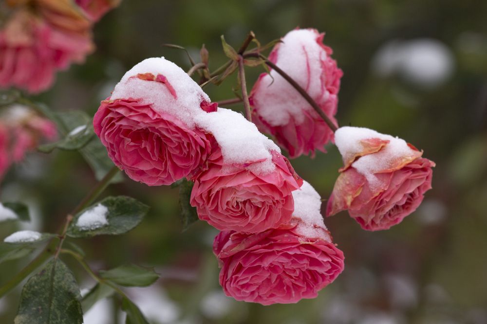 Photograph by Артур Павловский