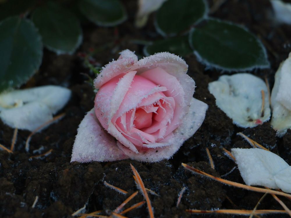 Photograph by Серёга Ануфриев