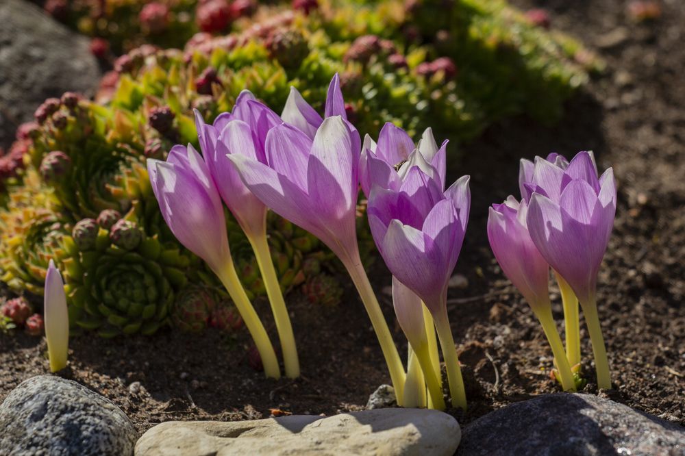 Photograph by Артур Павловский