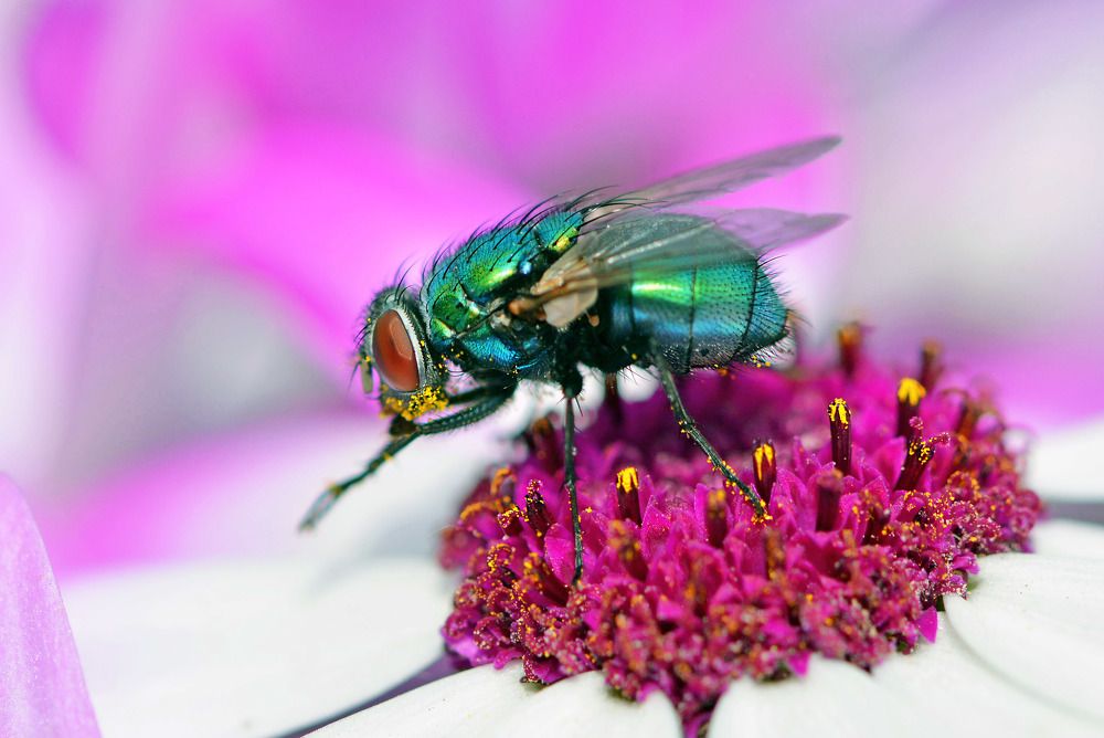 Photograph by Marjo Steffen