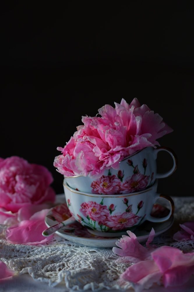 Фотография автора Екатерина Карасева