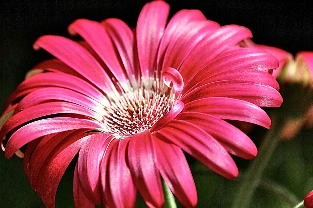 Photograph by Лариса Белашова