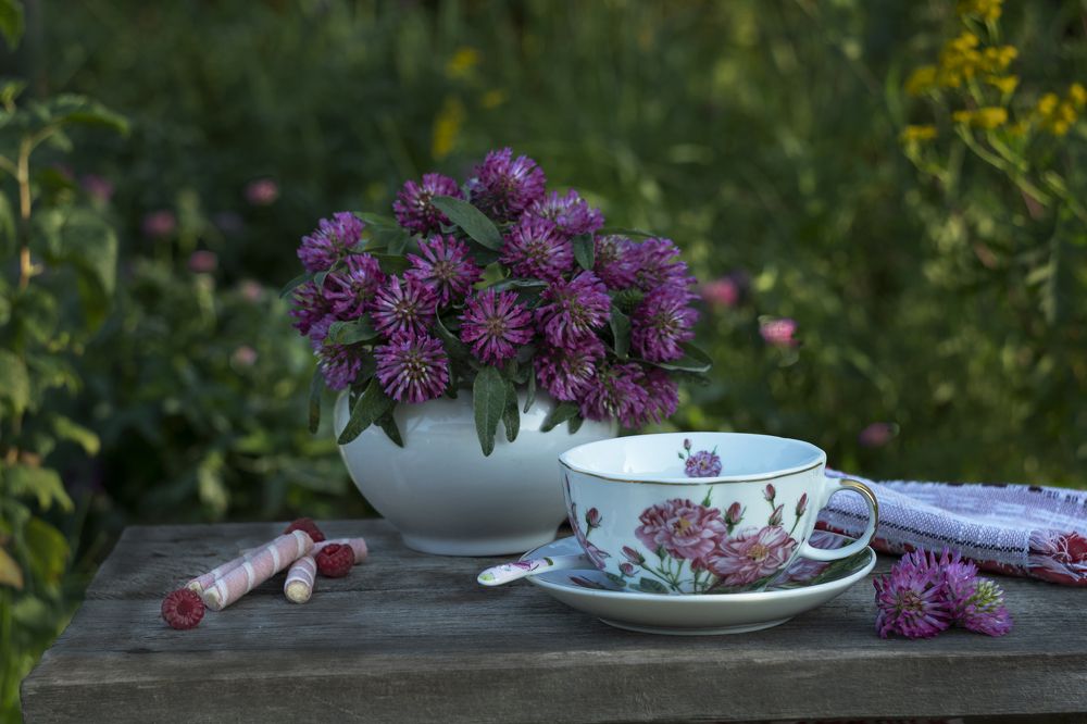 Фотография автора Екатерина Карасева