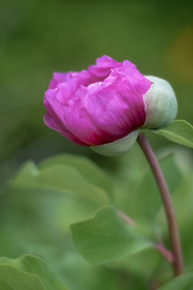 Photograph by Наталья Ткаченко