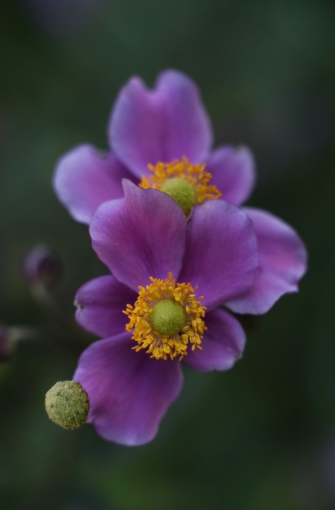 Photograph by Наталья Ткаченко