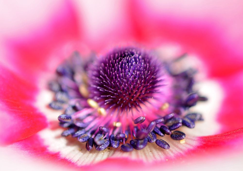 Photograph by Marjo Steffen