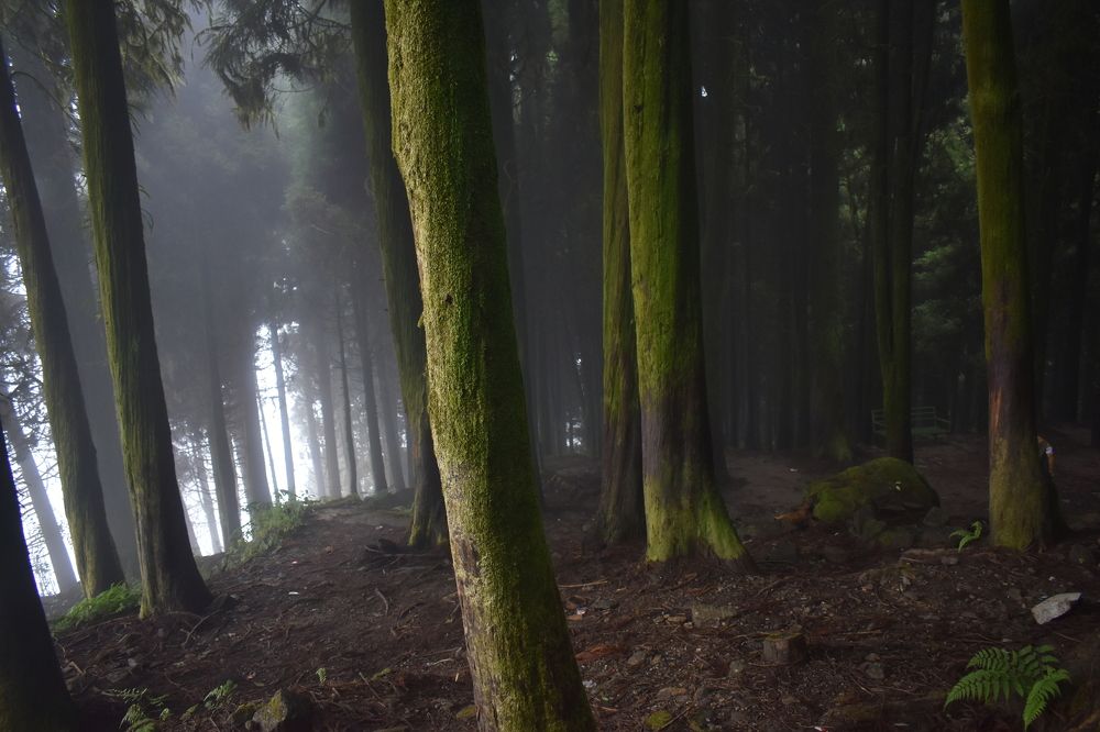 Photograph by SABYASACHI DAS