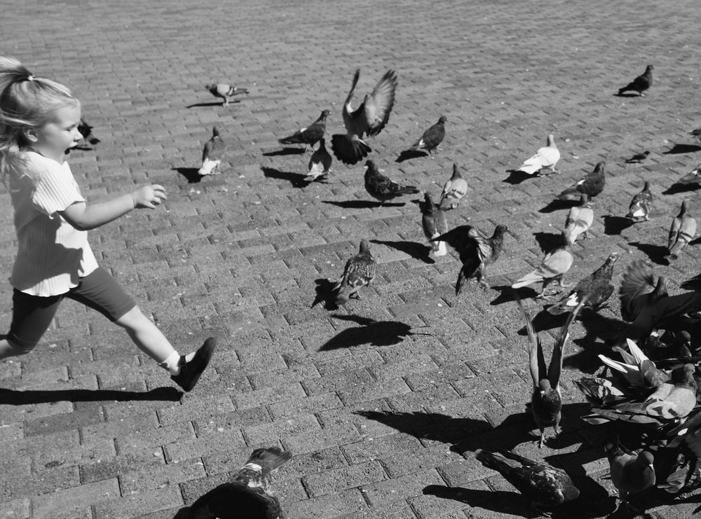 Photograph by Андрей Казаков