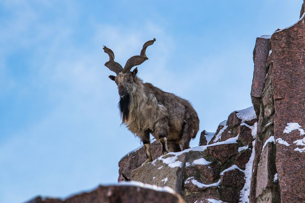 Фотография автора Татьяна Гладкова