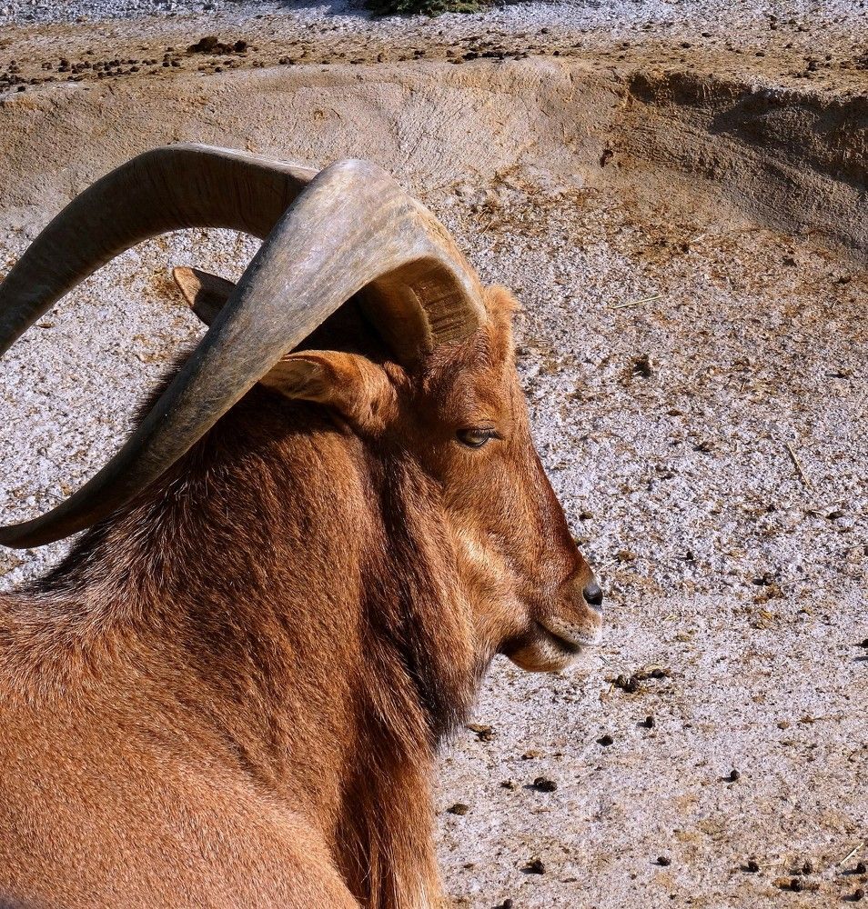 Photograph by Марина Раткун