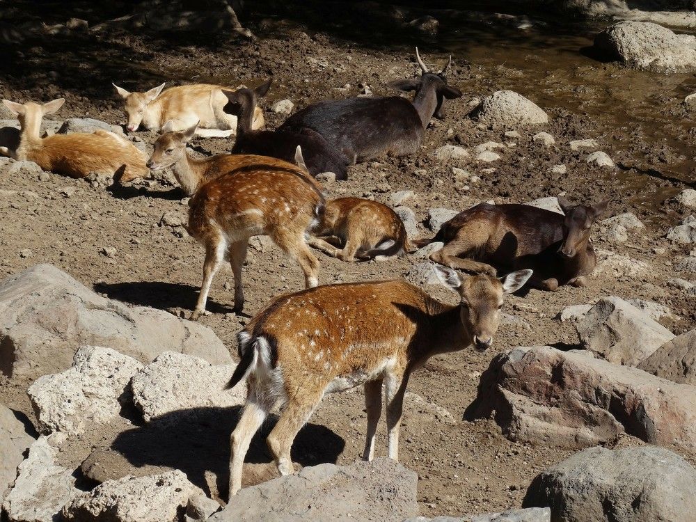 Photograph by Марина Раткун