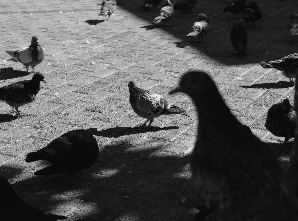 Photograph by Андрей Казаков