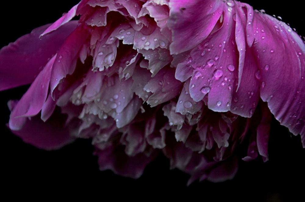 Photograph by Зыкова Мария