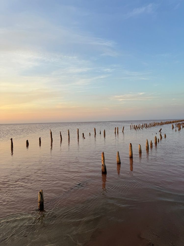 Фотография автора Виктория Зеленкова