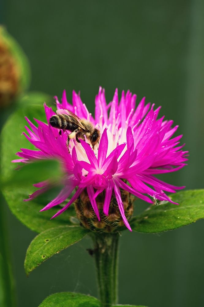 Photograph by ANTON KLYUSHIN