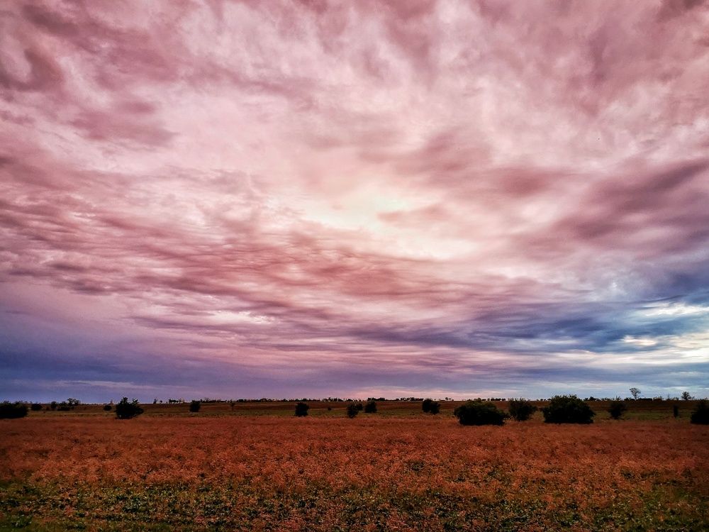 Photograph by Елена Артёменко