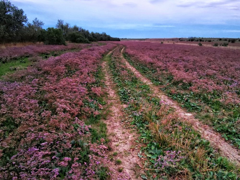 Photograph by Елена Артёменко