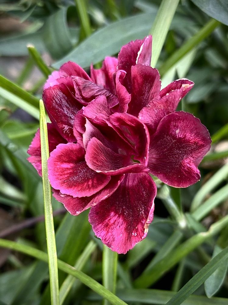 Photograph by Алиса Лукина