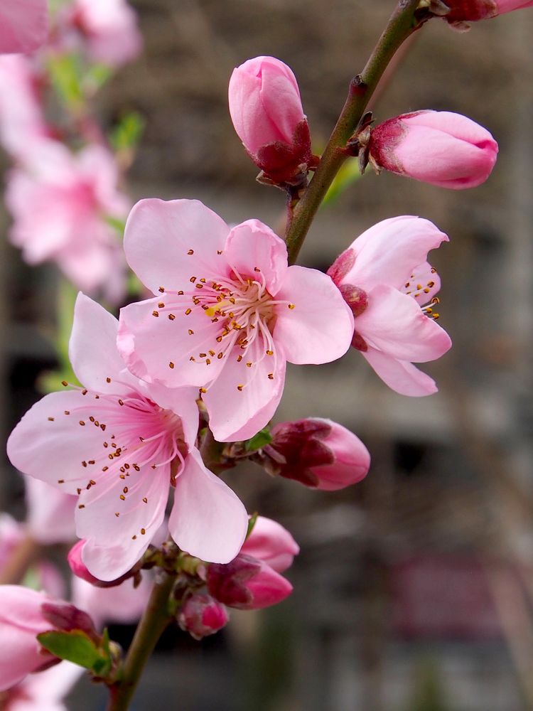 Photograph by Abdolreza Aleagha