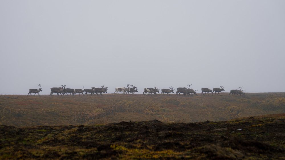 Photograph by Антон Дроздов