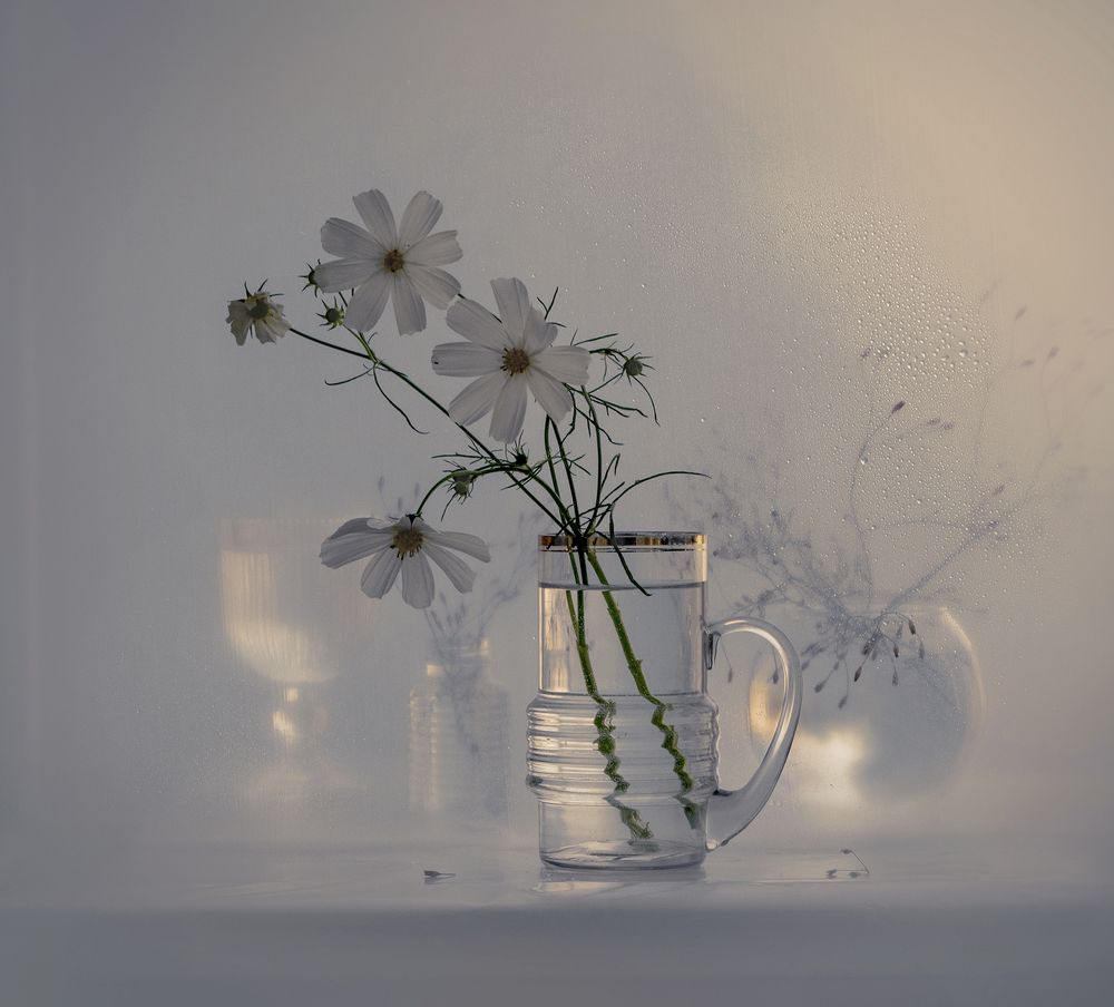 Фотография автора Шипунова Ирина