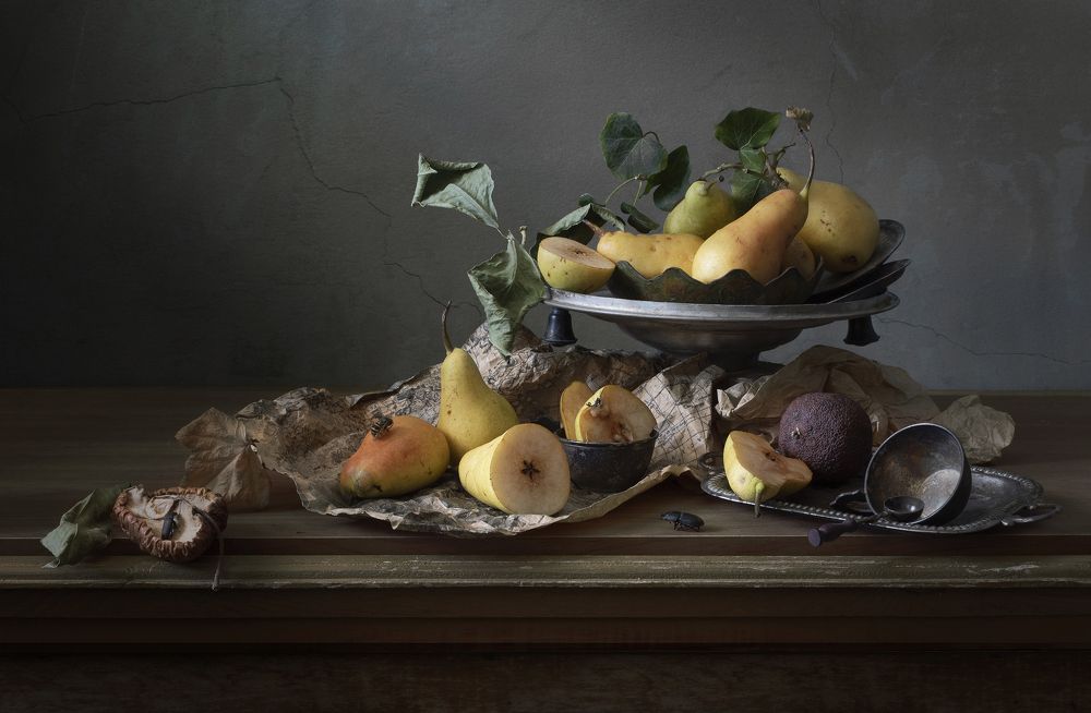 Фотография автора Шипунова Ирина