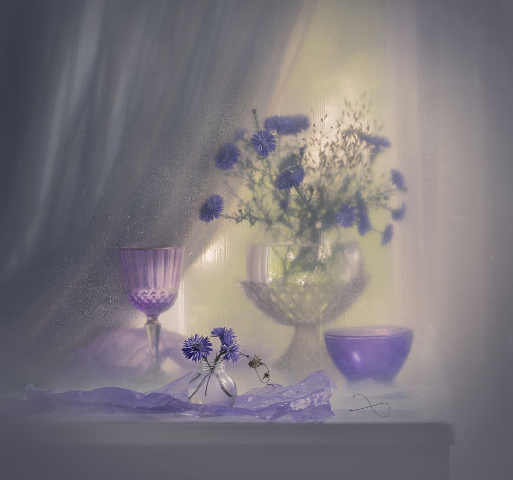 Фотография автора Шипунова Ирина