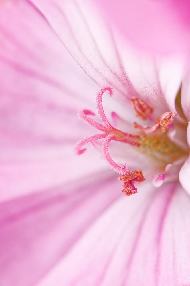 Фотография автора Jozef Mihalčin