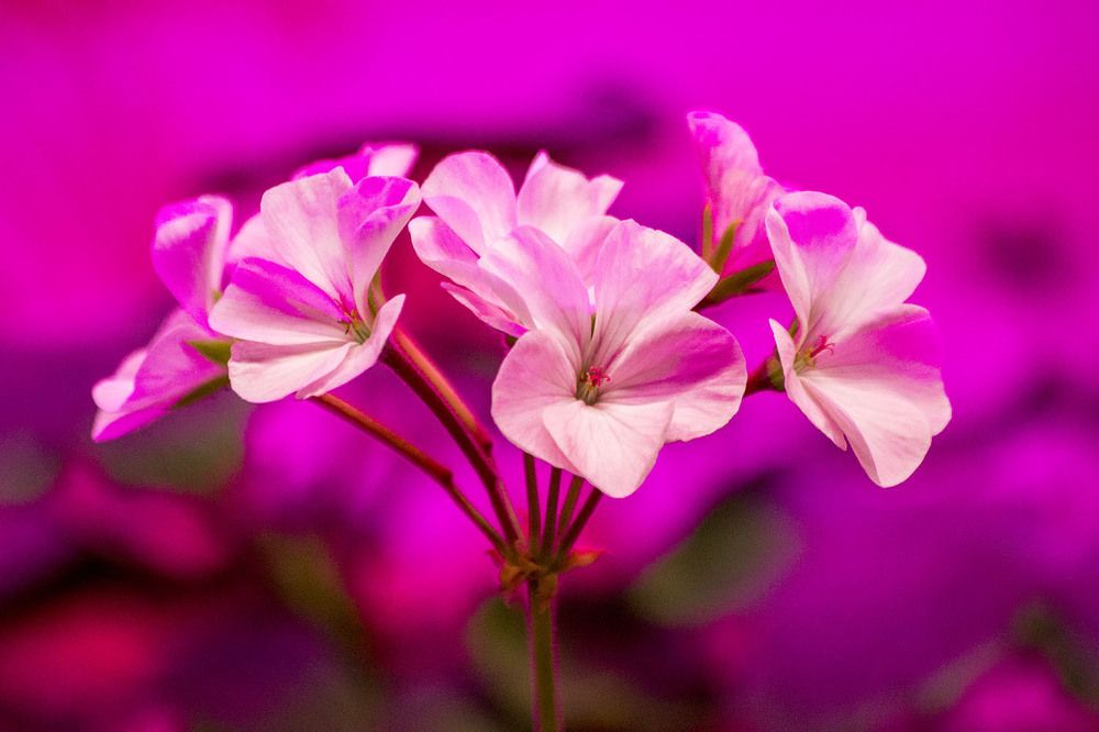 Photograph by Людмила Павловна