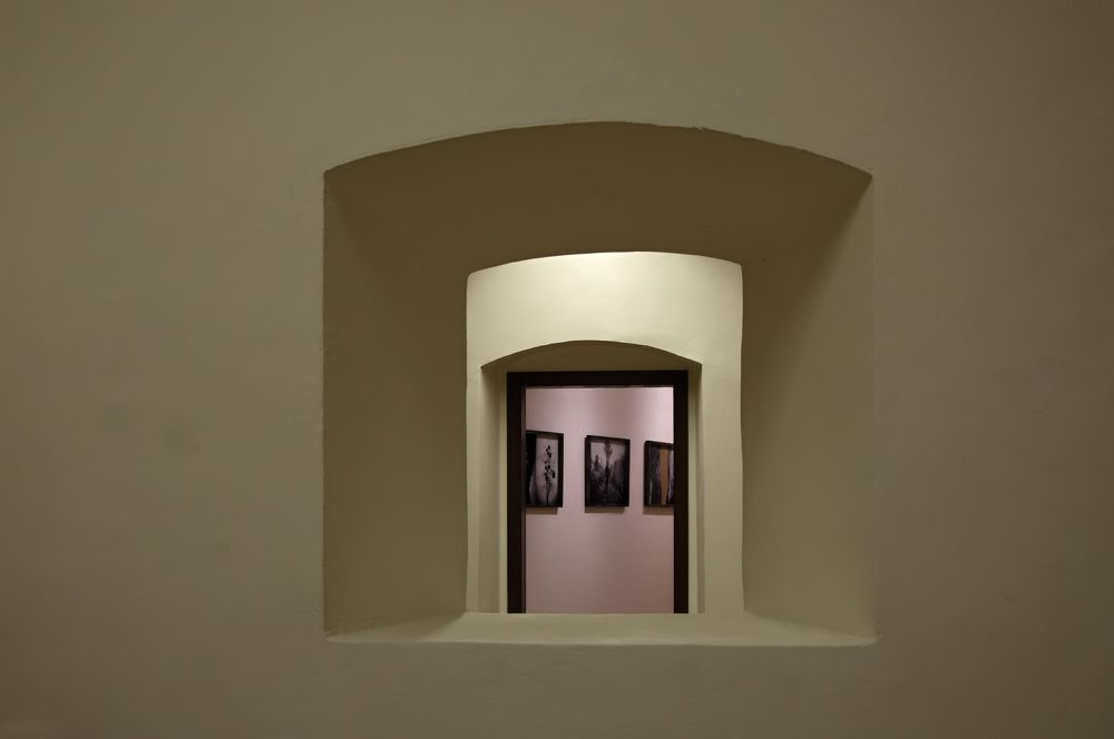 Allegory of the Gallery