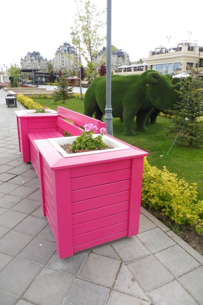 Фотография автора Клавдия Васильева