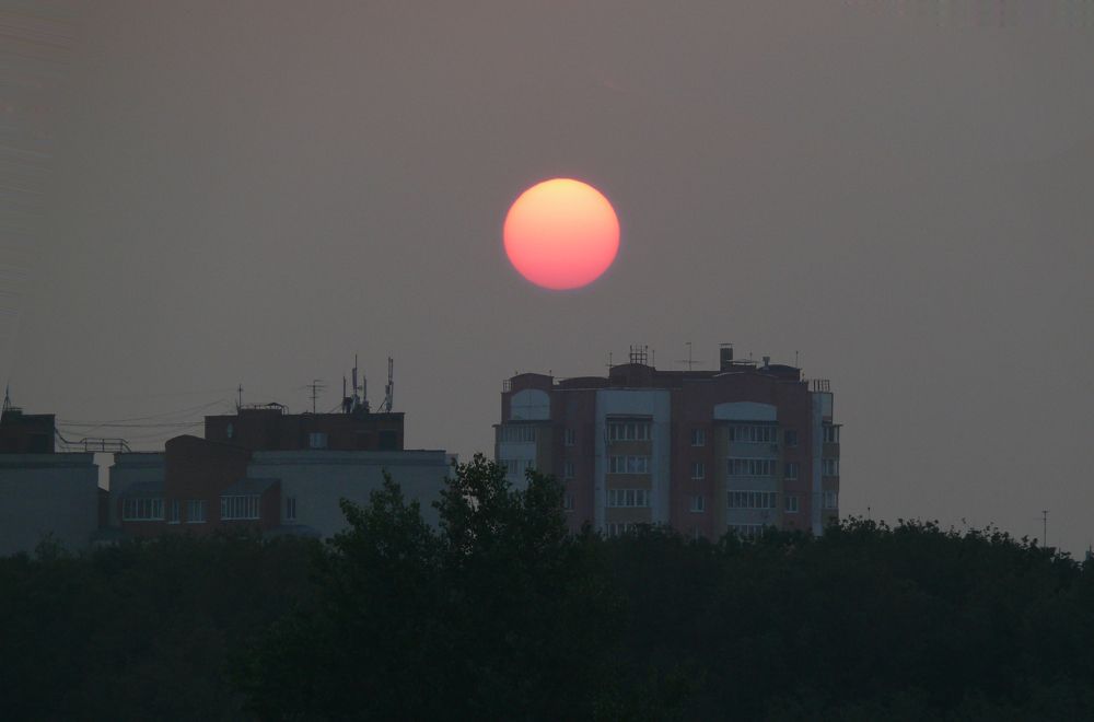 Фотография автора Клавдия Васильева