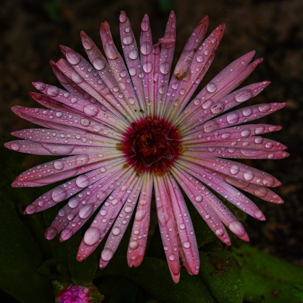 Photograph by kamran shirani