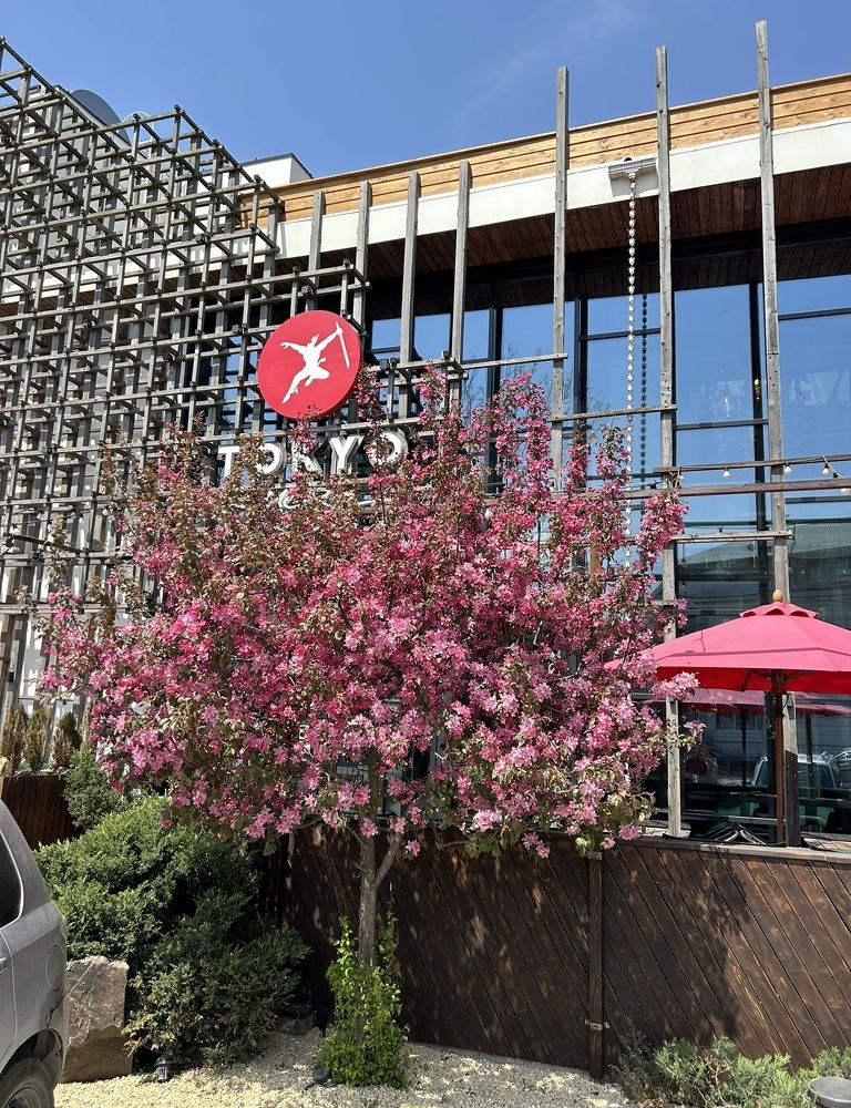 Photograph by Елена Власова