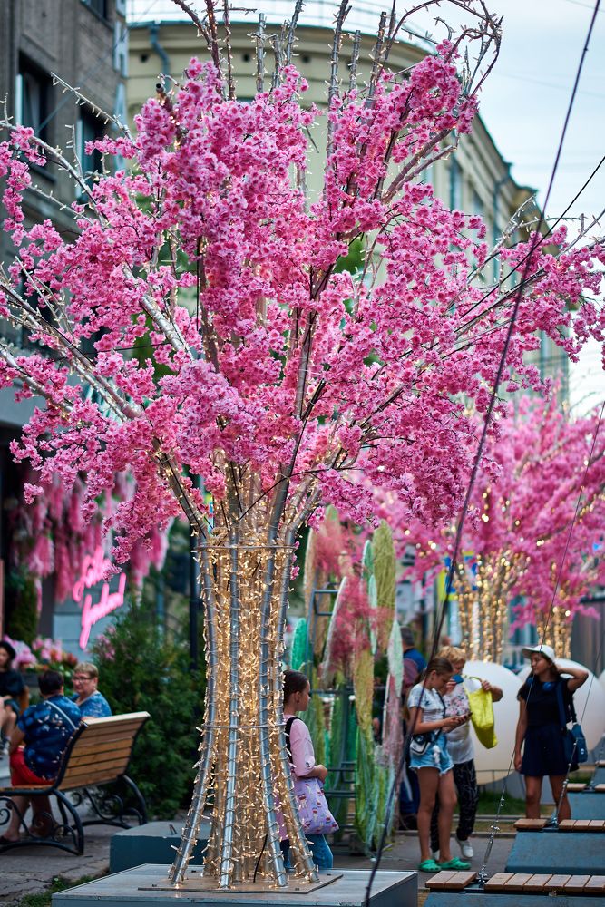 Photograph by Евгения Гловацкая