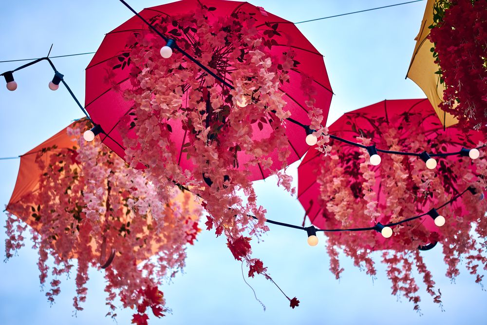 Photograph by Евгения Гловацкая