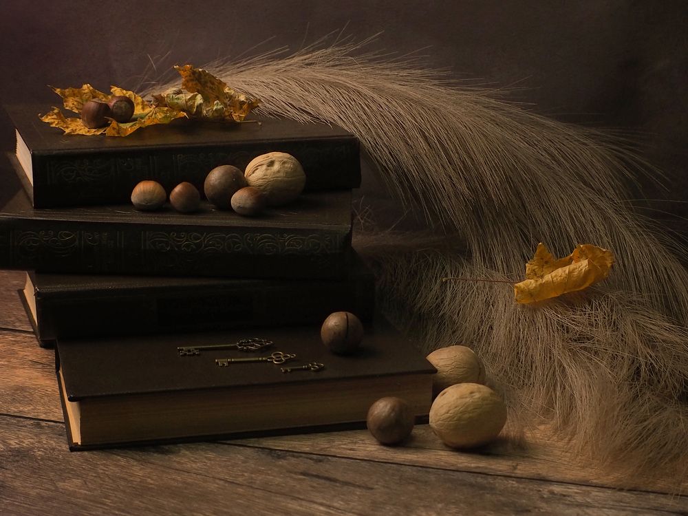 Хорошая книга – это дверь, которая раскрывается перед тобой, впуская тебя в новую жизнь. «Л.Кассиль»".