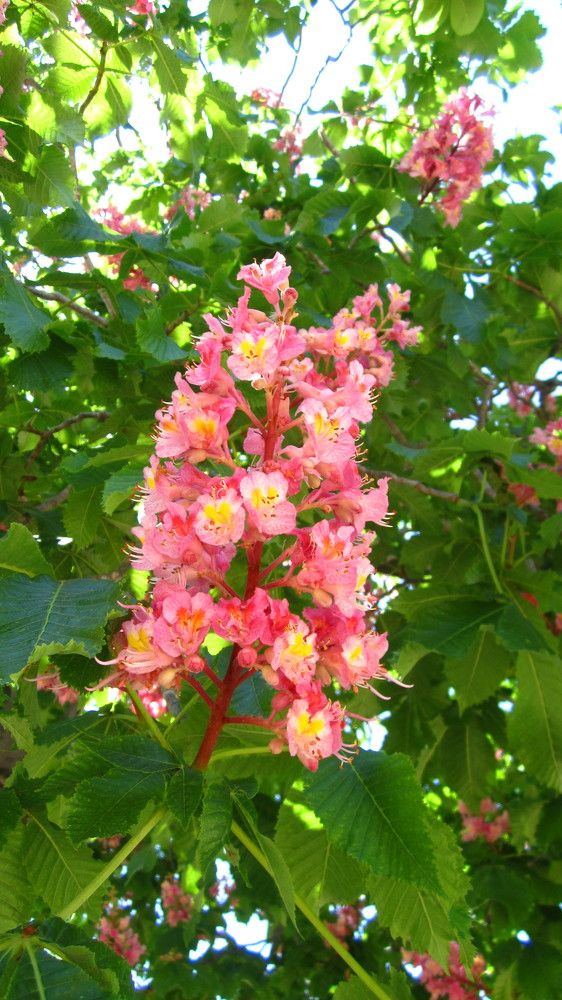 Photograph by Лариса Неудачина