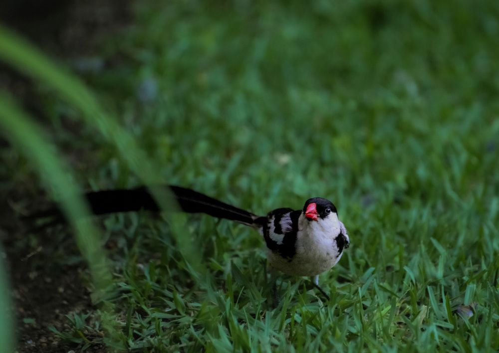 Photograph by Keegan Boland