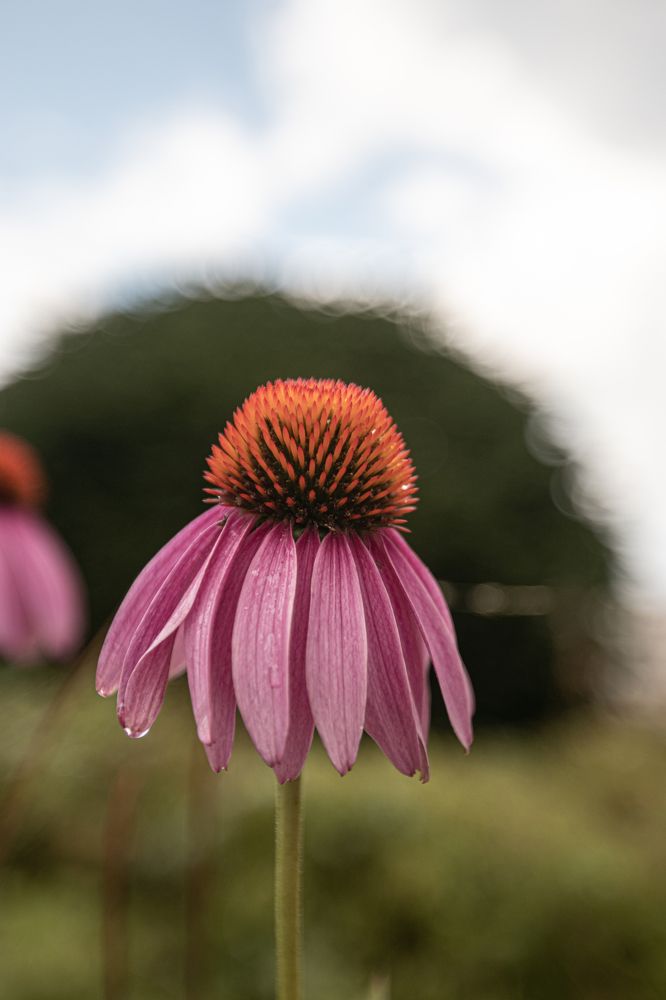 Photograph by Никита Павлов