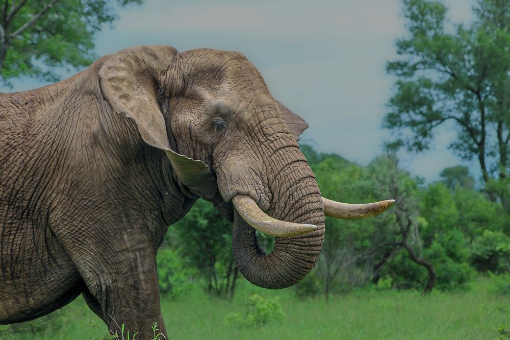 Photograph by Keegan Boland