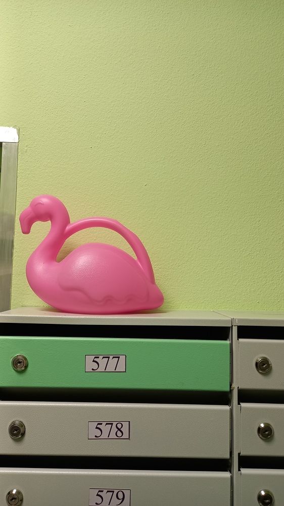 Photograph by Анна Еремина