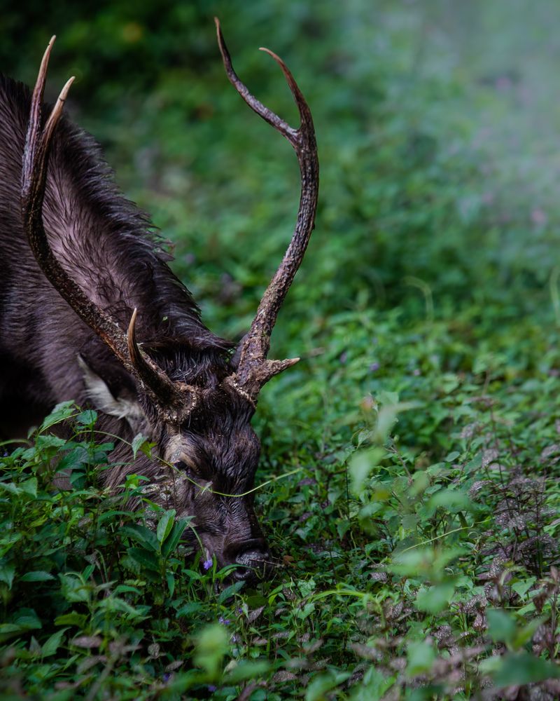 Photograph by Balamurali R