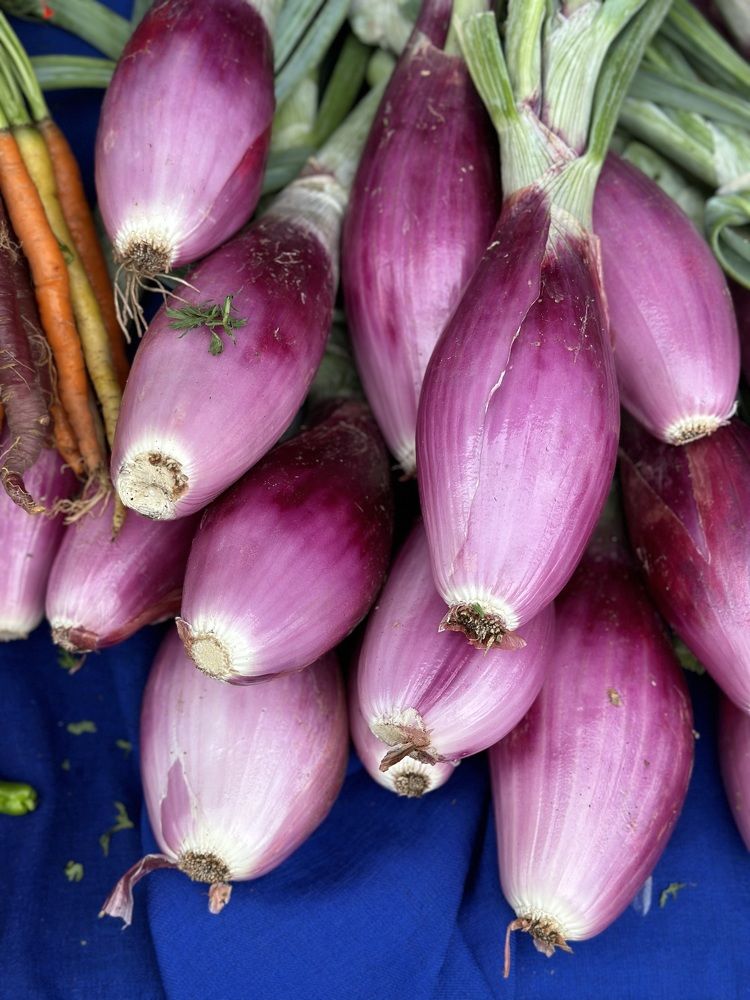 Photograph by Светлана Ионова