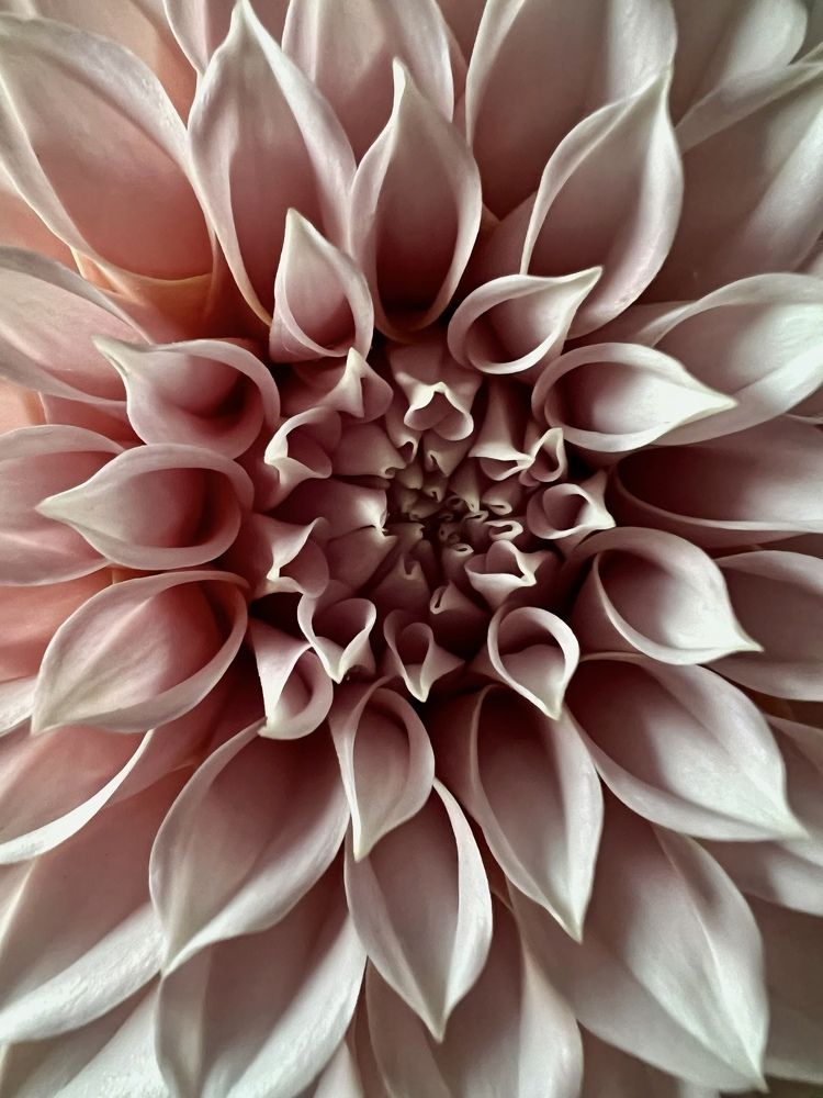 Photograph by Оксана